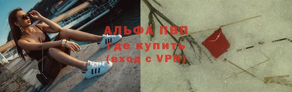 ПСИЛОЦИБИНОВЫЕ ГРИБЫ Дмитриев