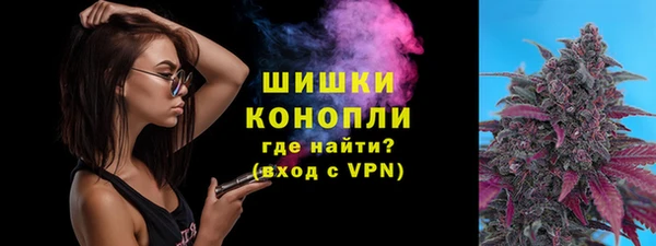 мдпв Гвардейск