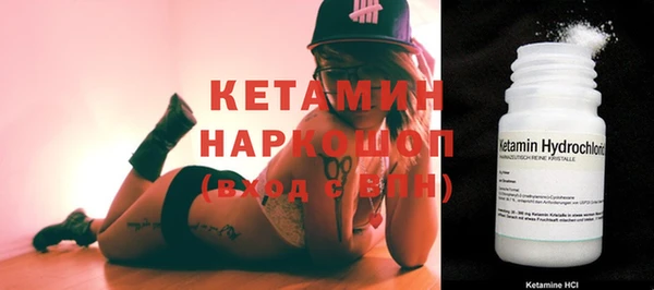 ПСИЛОЦИБИНОВЫЕ ГРИБЫ Дмитриев