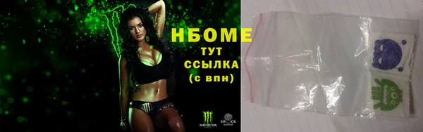 ПСИЛОЦИБИНОВЫЕ ГРИБЫ Дмитриев