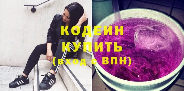 ПСИЛОЦИБИНОВЫЕ ГРИБЫ Дмитриев