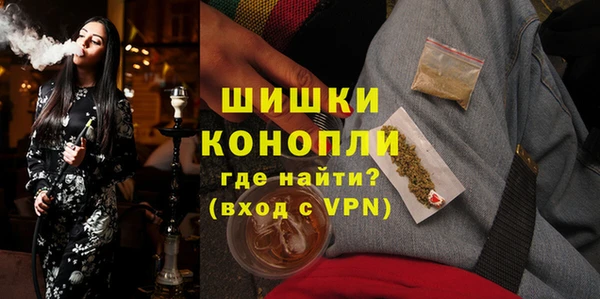 мдпв Гвардейск