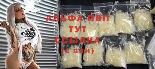 ПСИЛОЦИБИНОВЫЕ ГРИБЫ Дмитриев