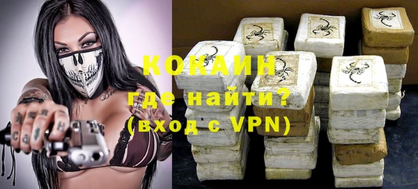 ПСИЛОЦИБИНОВЫЕ ГРИБЫ Дмитриев
