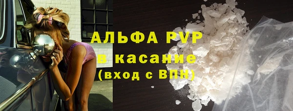 ПСИЛОЦИБИНОВЫЕ ГРИБЫ Дмитриев